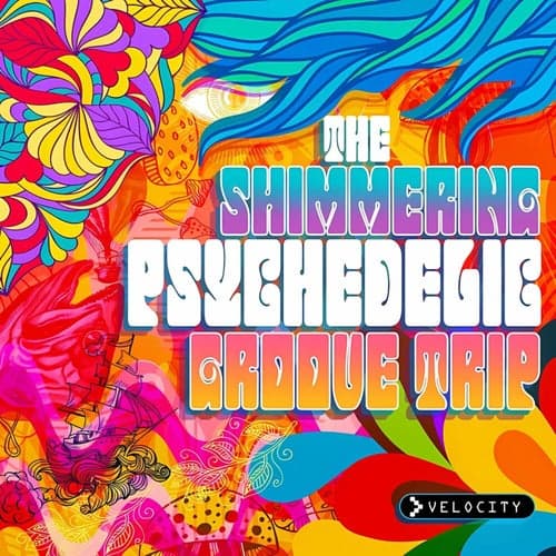 The Shimmering Psychedelic Groove Trip