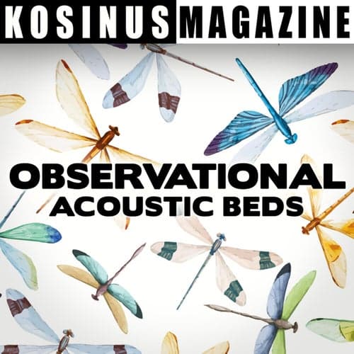 Observational - Acoustic Beds