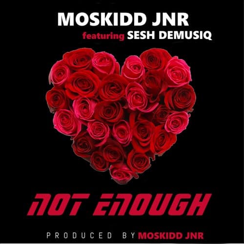 Not Enough (feat. Sesh DeMusiq)