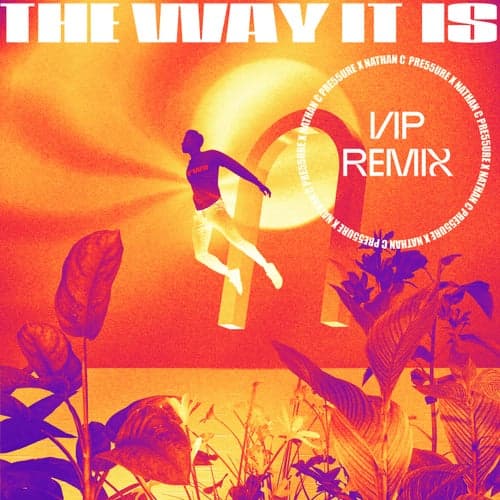 The Way It Is (VIP Mix)