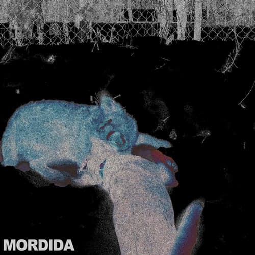 Mordida