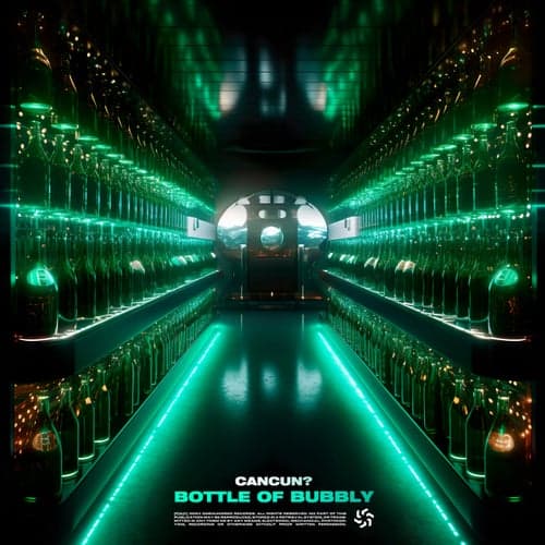 Bottle of Bubbly