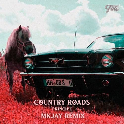 Country Roads (MKJAY Remix)