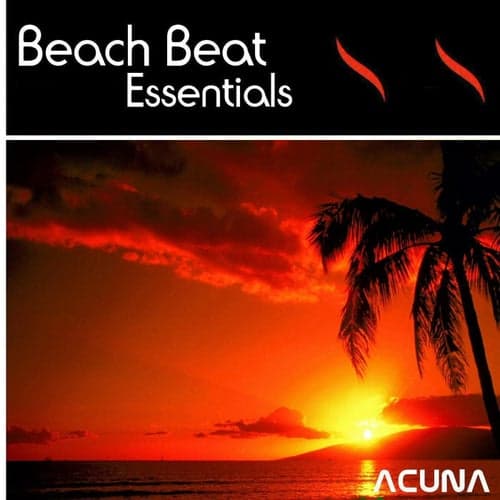 Beach Beat Essentials