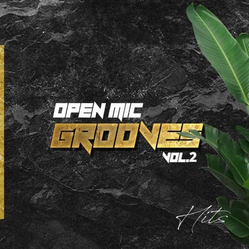 Open Mic Grooves, Vol. 2