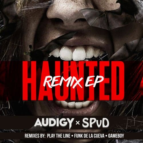 Haunted Remix EP