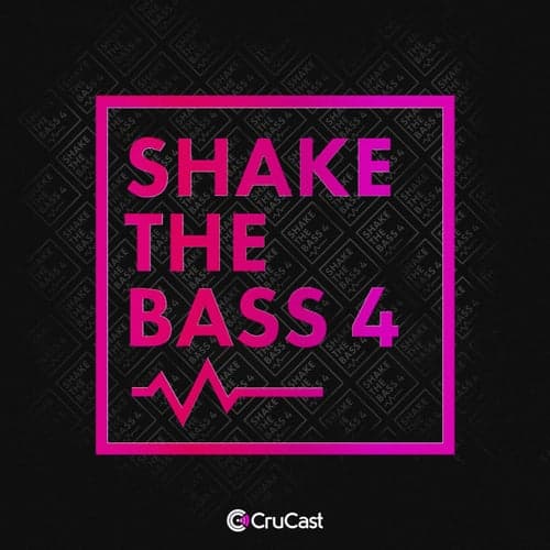 Shake the Bass 4