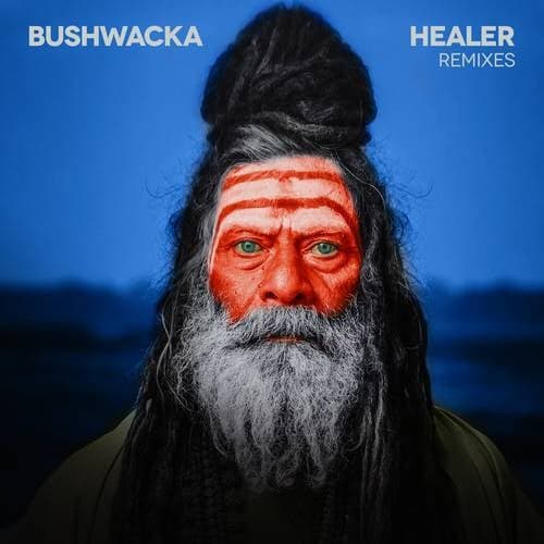 Healer (Remixes)