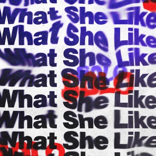 What She Like (feat. 808x)