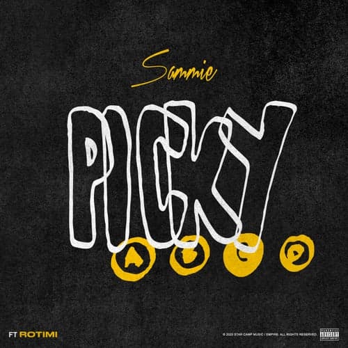 Picky (feat. Rotimi)