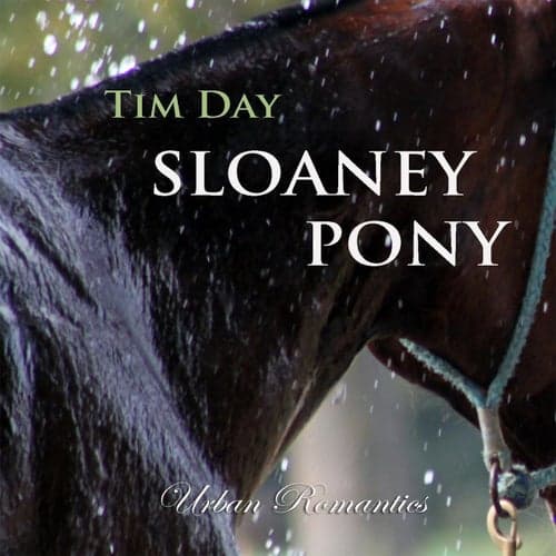 Sloaney Pony
