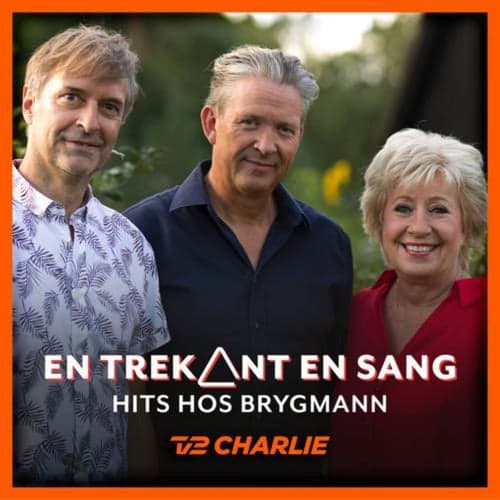 En Trekant En Sang 6 - Hits Hos Brygmann