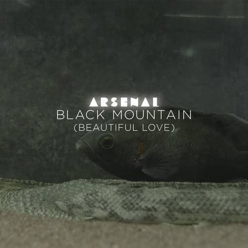 Black Mountain (Beautiful Love) (Radio Edit)