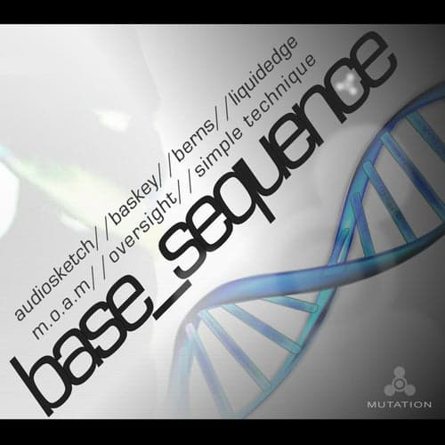 Base Sequence