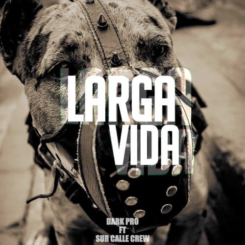 Larga Vida (feat. Sur Calle Crew)