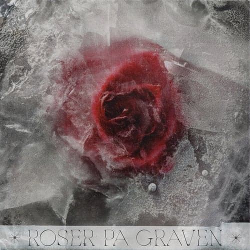 Roser på graven