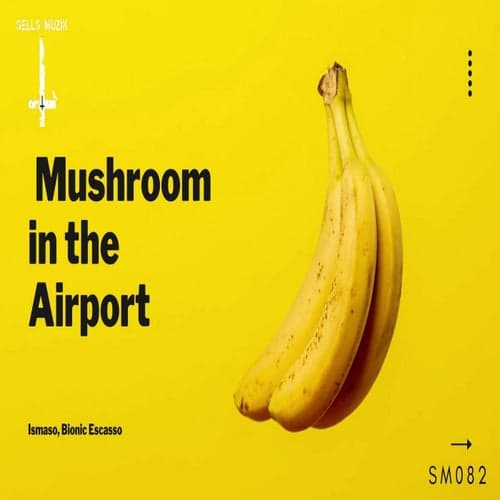 Mushroom In The Airport