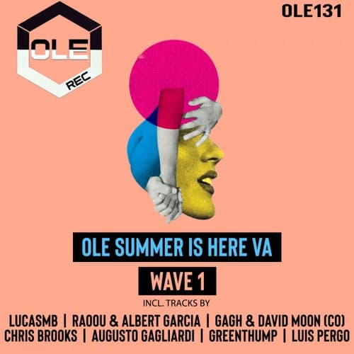 Ole Summer Is Here VA Wave 1