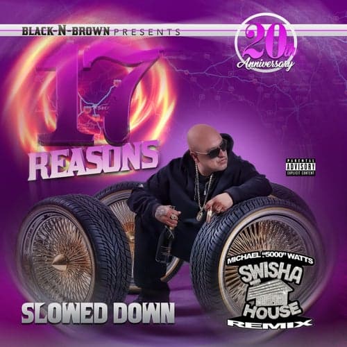 17 Reasons (Screwed & Chopped Swishahouse Remix)