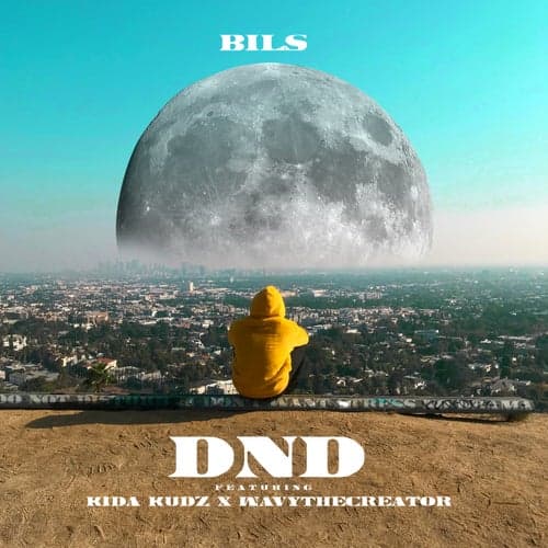DND (feat. Kida Kudz & WavyTheCreator)