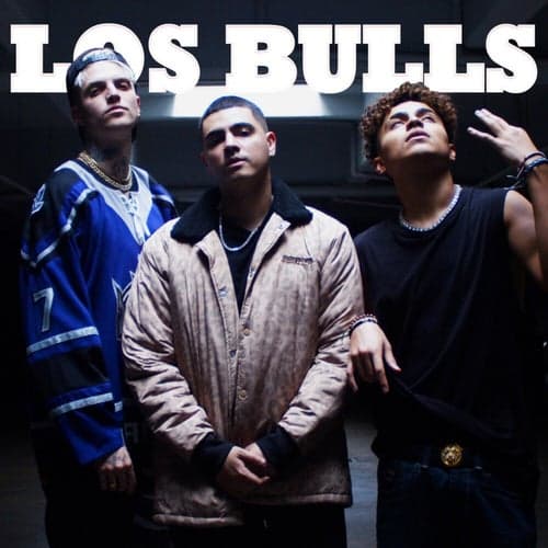 Los Bulls