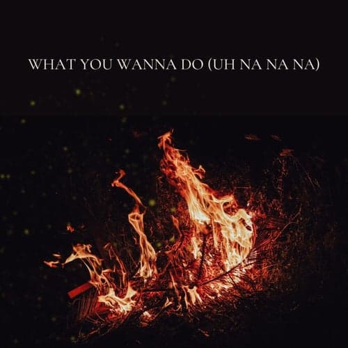 What You Wanna Do (Uh Na Na Na)