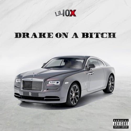 Drake on a Bitch