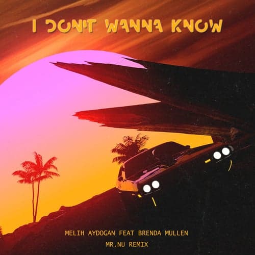 I Don't Wanna Know (feat. Brenda Mullen) [Mr. Nu Remix]