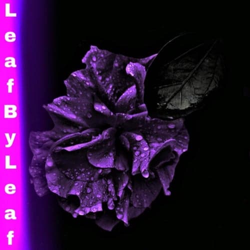 Leaf By Leaf (feat. Ds Banks)