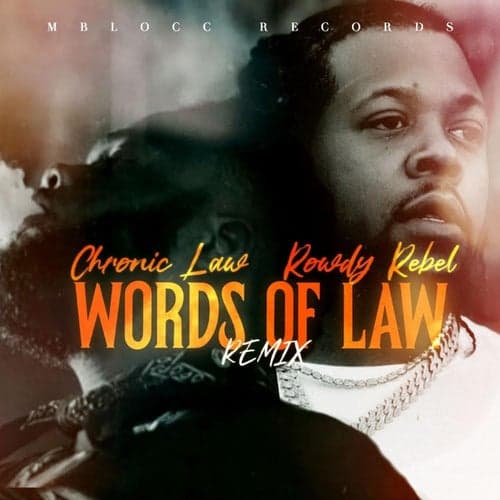 Words Of Law Remix (feat. Chronic Law)