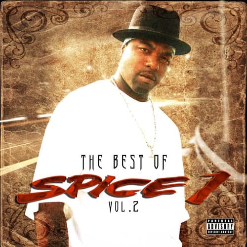 The Best of Spice 1, Vol. 2