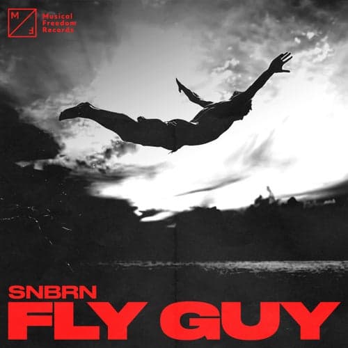 Fly Guy