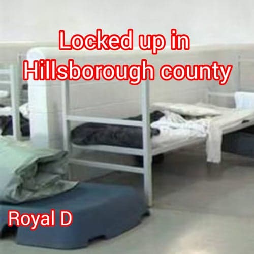 locked up in hillsborough county