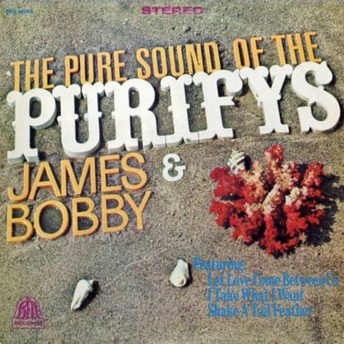 The Pure Sound Of The Purifys