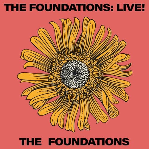 The Foundations: Live!