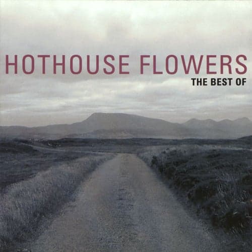 The Best Of Hothouse Flowers