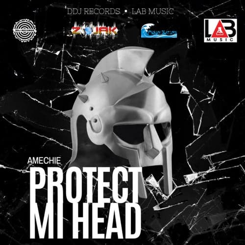 Protect Mi Head