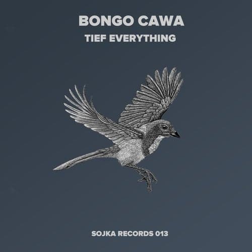 Bongo Cawa