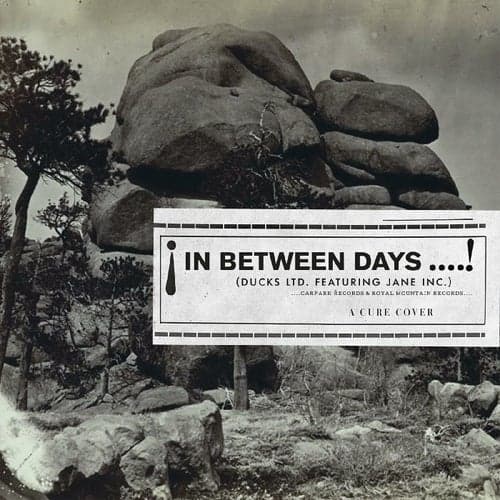 In Between Days