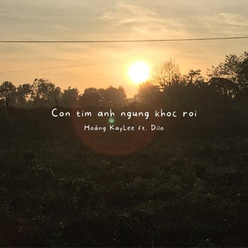 con tim anh ngung khoc roi (feat. Dilo)