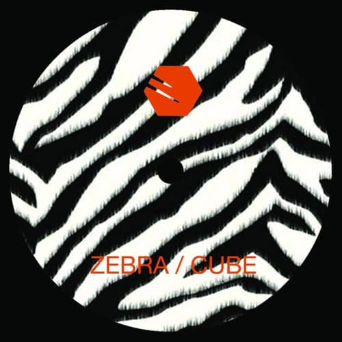 Zebra / Cube