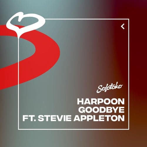 Goodbye (feat. Stevie Appleton)
