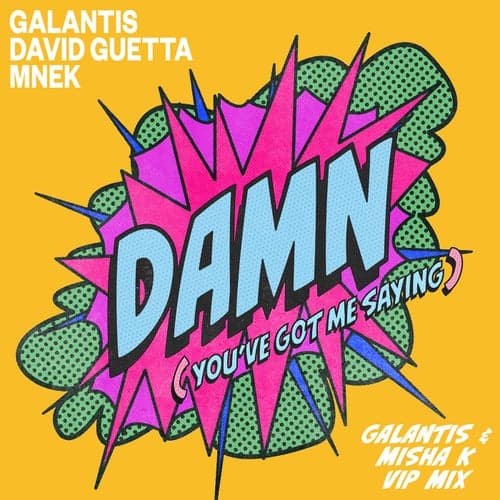 Damn (You've Got Me Saying) [Galantis & Misha K VIP Mix]