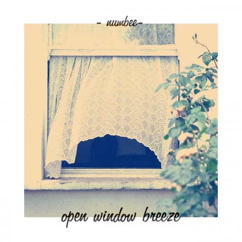 Open window breeze