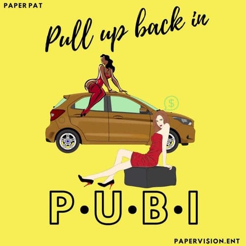 P.U.B.I (Pull Up Back In)