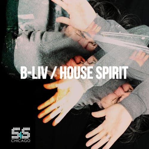 House Spirit