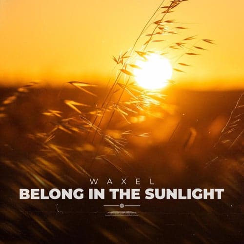 Belong In The Sunlight