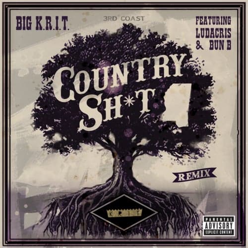 Country Sh*t (Remix)