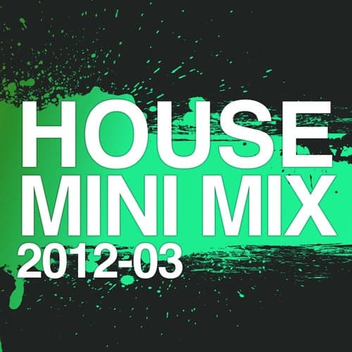 House Mini Mix 2012 - 03