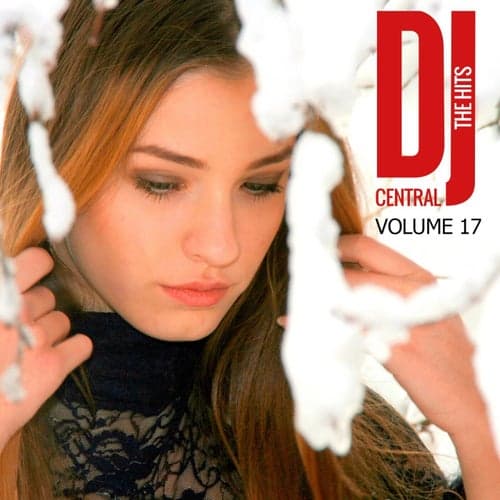 DJ Central - The Hits, Vol. 17